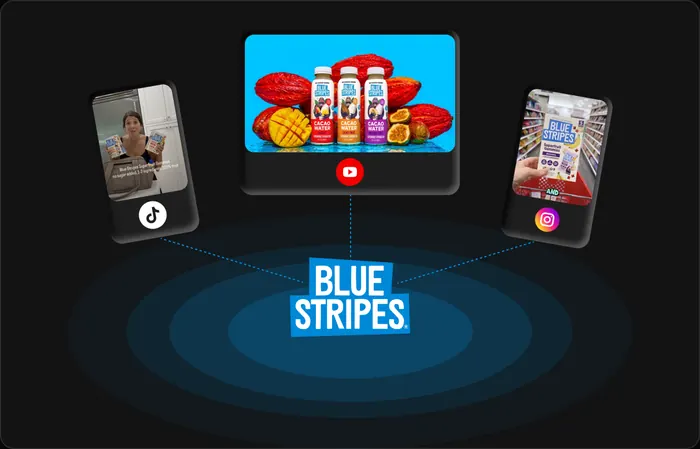 Blue Stripes case study visual